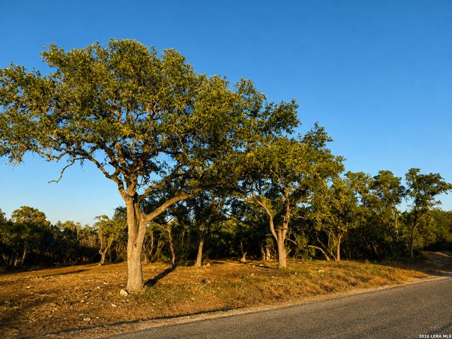 335 SERENITY PASS, Spring Branch, TX 78070