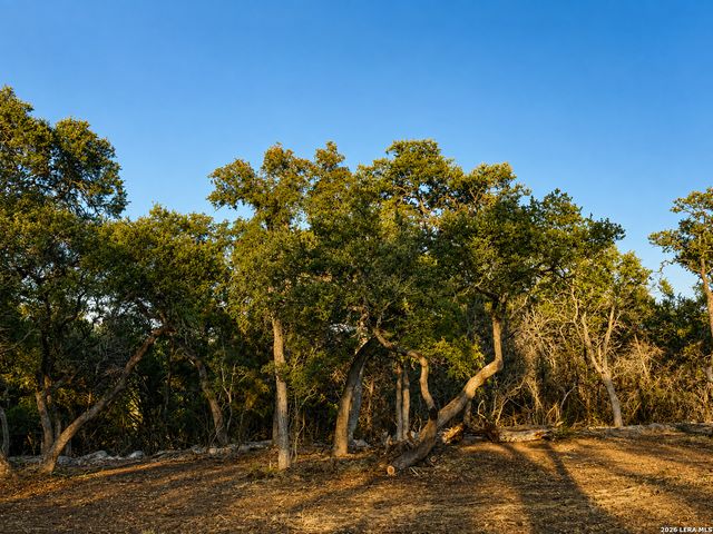 335 SERENITY PASS, Spring Branch, TX 78070