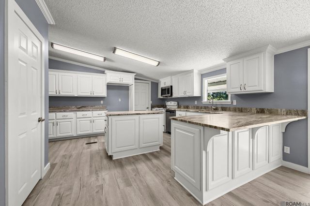 18603 Scivicque Ln, Port Vincent, LA 70726