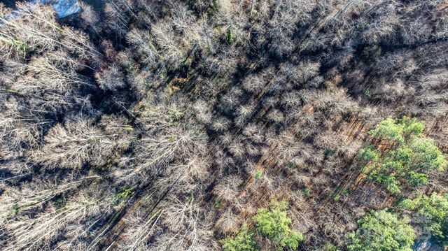 74 W Court Cemetery Road, Marion, NC 28752