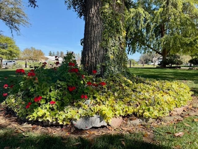 6560 Bethel, Clovis, CA 93619