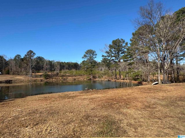 645 SKYVIEW LAKE ROAD, Warrior, AL 35180