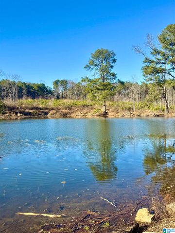 645 SKYVIEW LAKE ROAD, Warrior, AL 35180