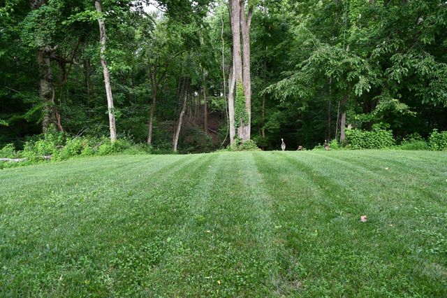 124 Grayson Ln, White House, TN 37188