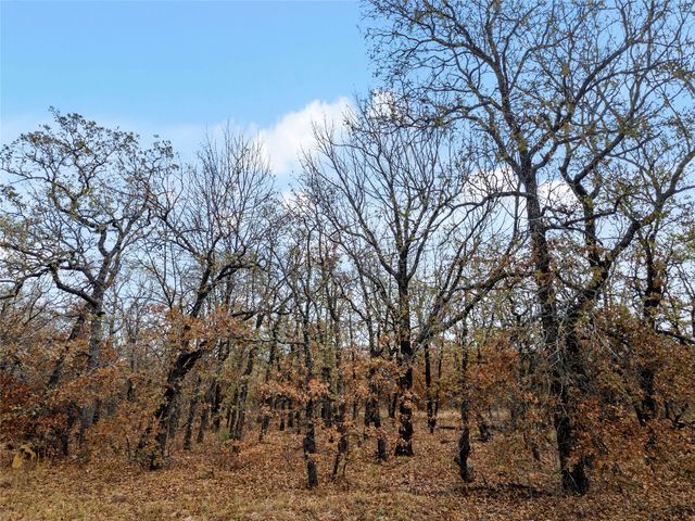 289 County Road 1661, Chico, TX 76431