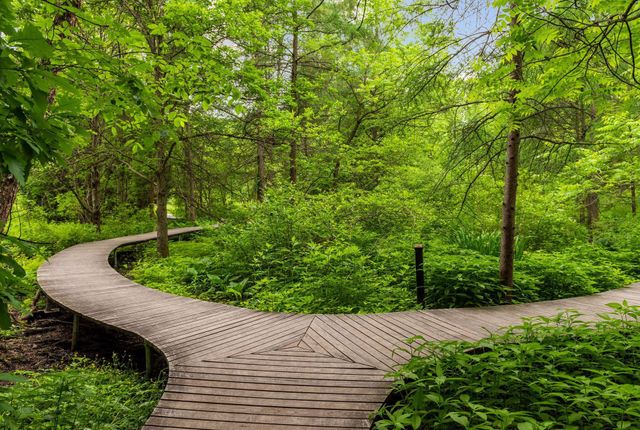 15 Upton Avenue S, Minneapolis, MN 55405