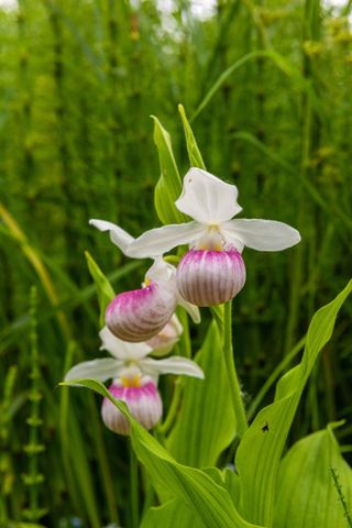 15 Upton Avenue S, Minneapolis, MN 55405