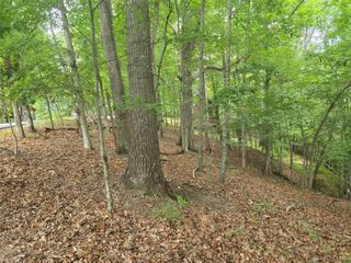Lot476 Riverview Drive, Ellijay, GA 30540