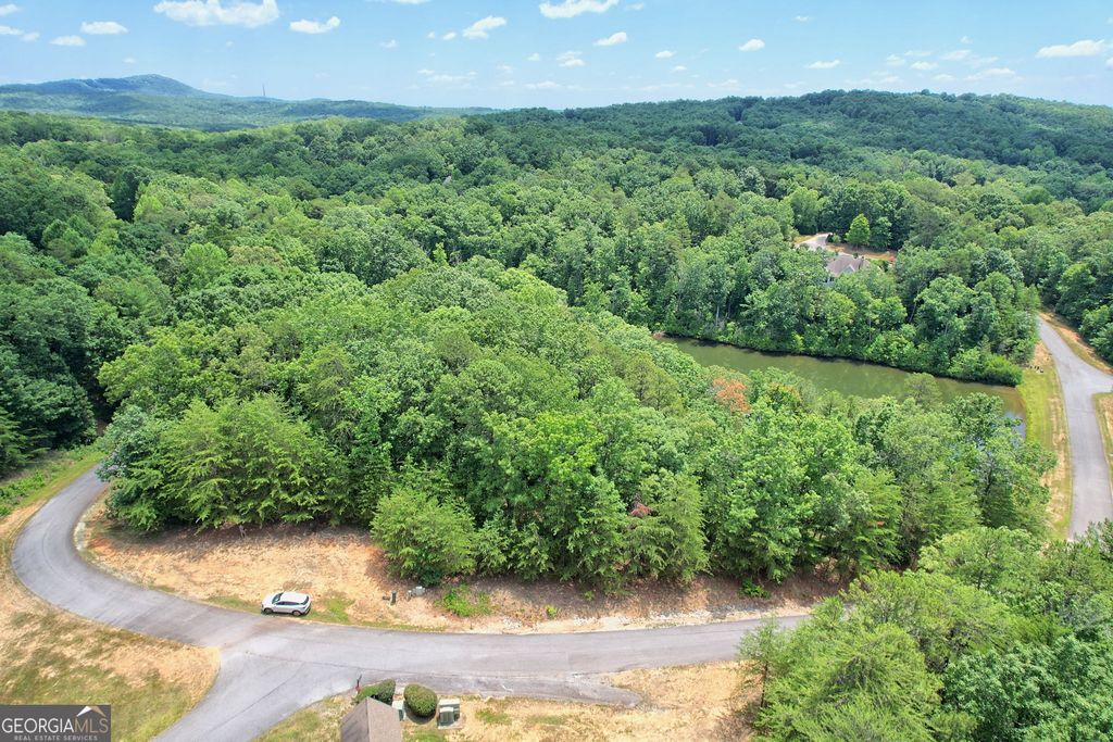 0 Lot #6A23 Pippin Circle, Clarkesville, GA 30523 — photo 3
