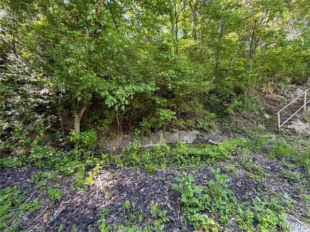734 Old Cove Road, St Clair, MO 63077