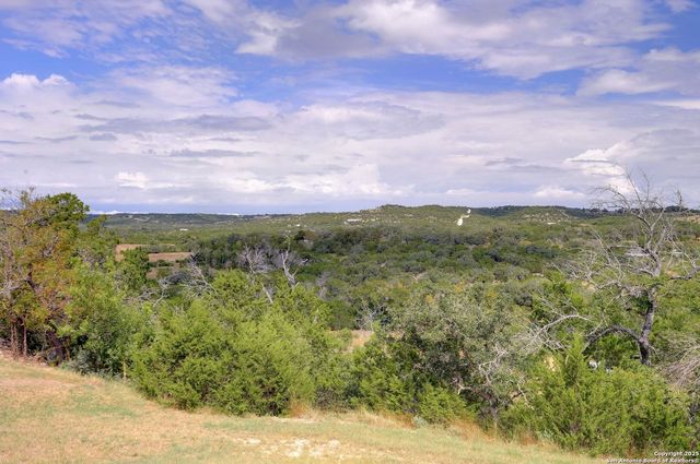 448 Red Rock Road, Blanco, TX 78606