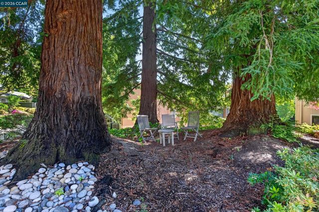 3101 Golden Rain Rd 2, Walnut Creek, CA 94595