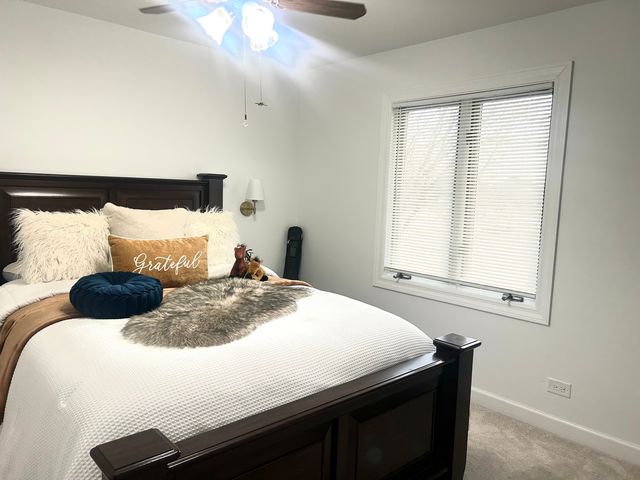 11413 S Kristi Drive, Plainfield, IL 60585