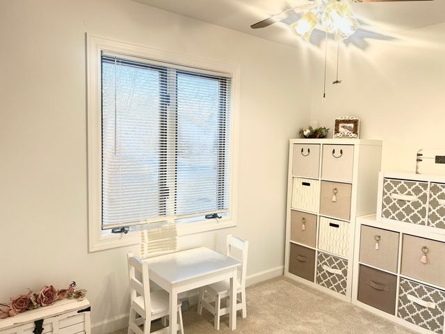 11413 S Kristi Drive, Plainfield, IL 60585