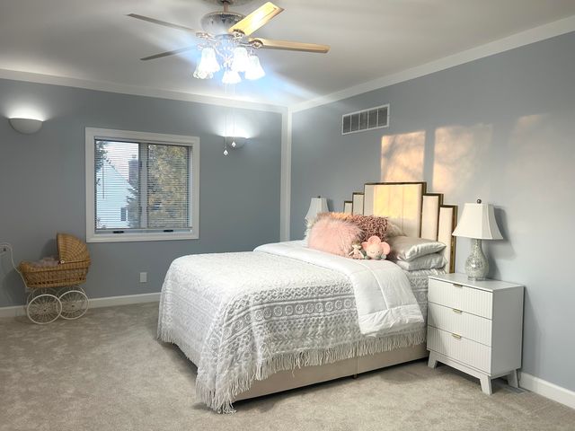 11413 S Kristi Drive, Plainfield, IL 60585