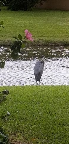 2643 Calliandra Terrace, Coconut Creek, FL 33063