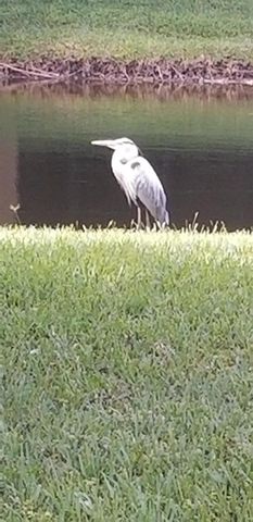 2643 Calliandra Terrace, Coconut Creek, FL 33063