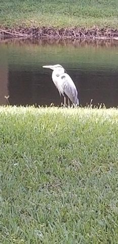 2643 Calliandra Terrace, Coconut Creek, FL 33063