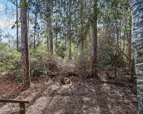 20 N DOLPHIN Avenue, Middleburg, FL 32068