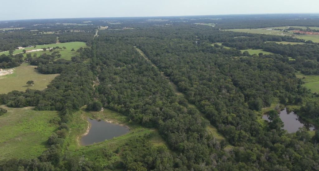 TBD Kelley Ln, Franklin, TX 77856 — photo 2
