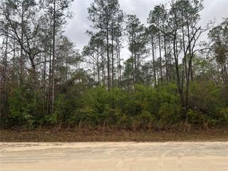 1605 NE 899TH STREET, Old Town, FL 32680