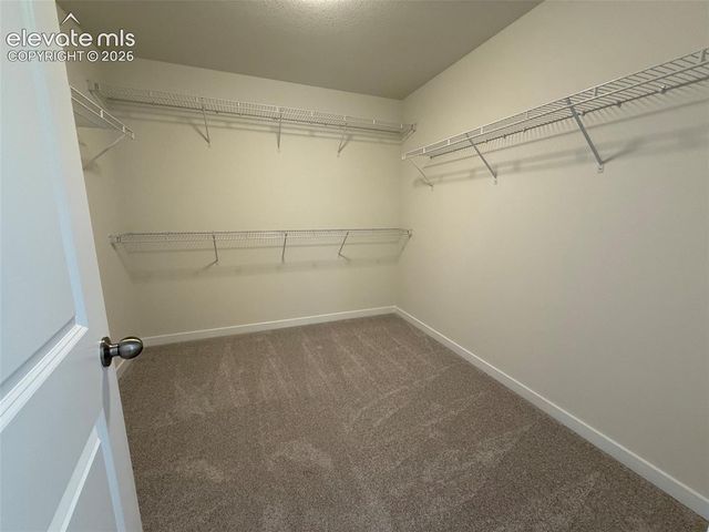 8253 Lemon Grass Road, Peyton, CO 80831