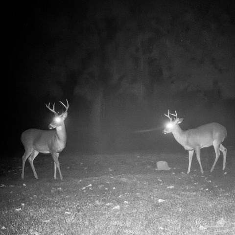 4940 Palmer Ridge Dr, Milton, FL 32570