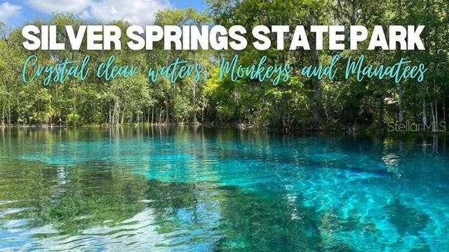 902 NE 130TH TERRACE, Silver Springs, FL 34488