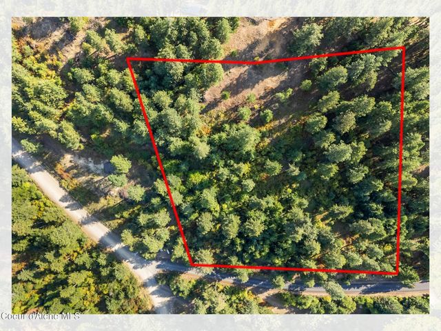 LT1 BLK1 S Hanson Rd, Harrison, ID 83833