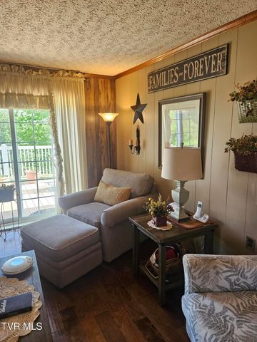 150 Tyrone Street, Dungannon, VA 24245