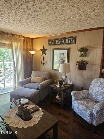 150 Tyrone Street, Dungannon, VA 24245