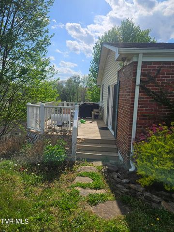 150 Tyrone Street, Dungannon, VA 24245