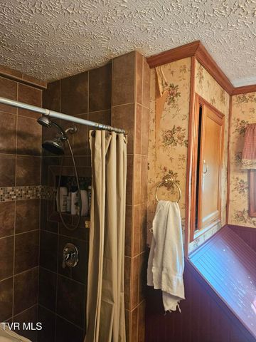 150 Tyrone Street, Dungannon, VA 24245