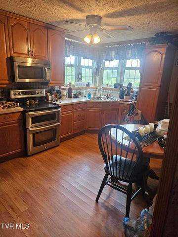 150 Tyrone Street, Dungannon, VA 24245
