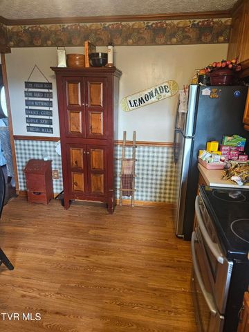 150 Tyrone Street, Dungannon, VA 24245