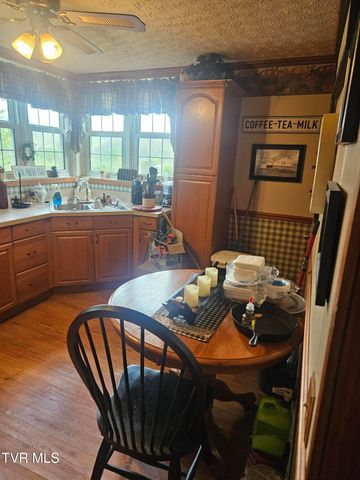 150 Tyrone Street, Dungannon, VA 24245