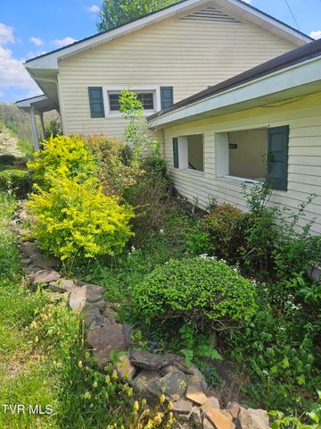 150 Tyrone Street, Dungannon, VA 24245