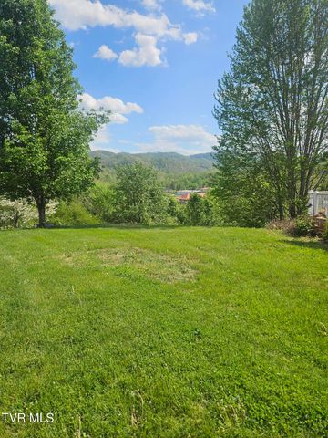 150 Tyrone Street, Dungannon, VA 24245