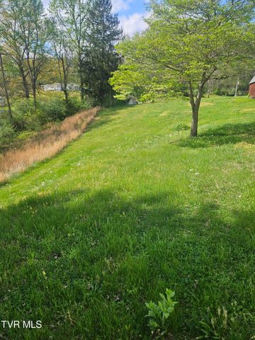 150 Tyrone Street, Dungannon, VA 24245