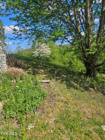 150 Tyrone Street, Dungannon, VA 24245