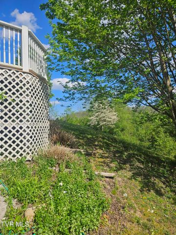 150 Tyrone Street, Dungannon, VA 24245