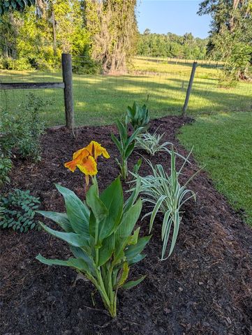 9145 NW 193 STREET, Micanopy, FL 32667