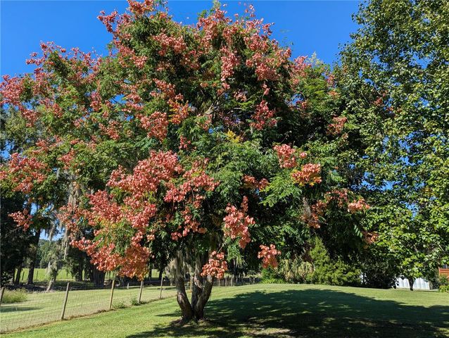 9145 NW 193 STREET, Micanopy, FL 32667