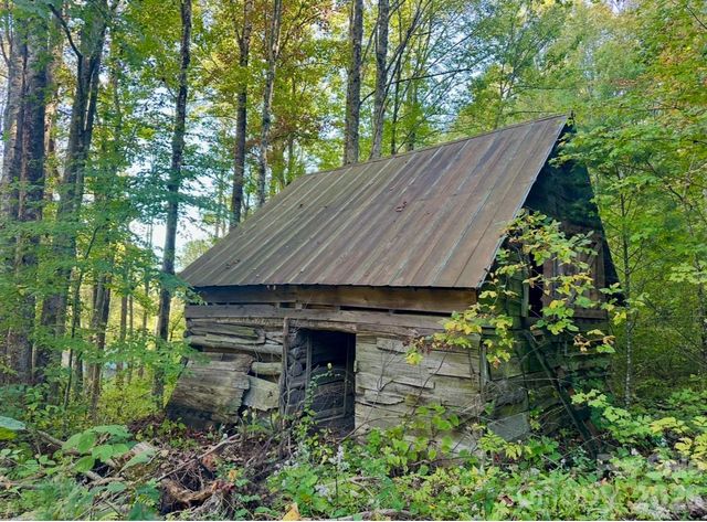 360 Banjo Branch Road, Burnsville, NC 28714