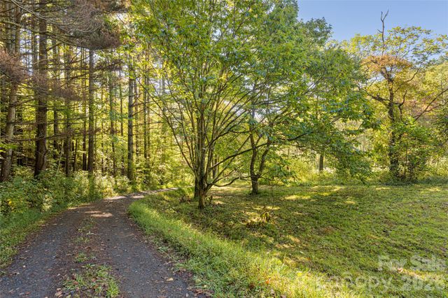360 Banjo Branch Road, Burnsville, NC 28714