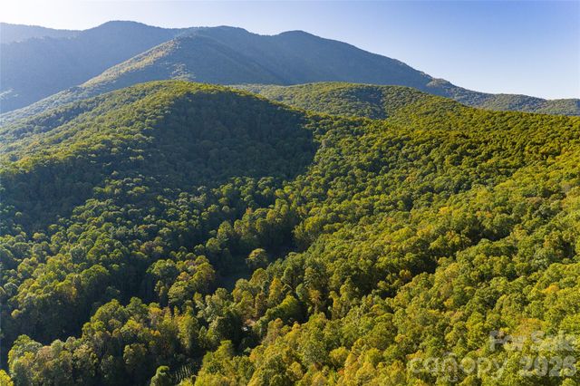 360 Banjo Branch Road, Burnsville, NC 28714
