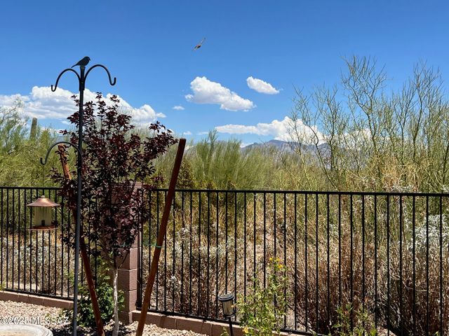 12698 N Gentle Rain Drive, Marana, AZ 85658