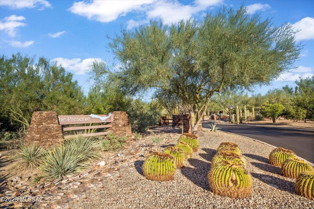 12698 N Gentle Rain Drive, Marana, AZ 85658