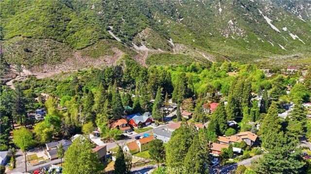 13894 Meadow, Lytle Creek, CA 92358