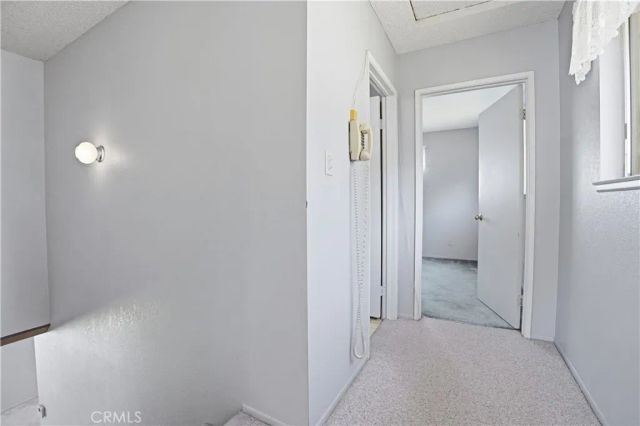 13894 Meadow, Lytle Creek, CA 92358